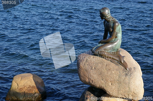 Image of The litle mermaid in Copenhagen in denmark