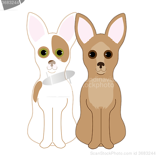 Image of Chihuahuas