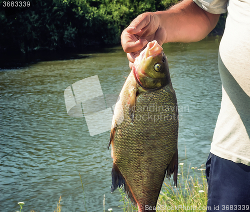 Image of The caught catch of fish in hands at the fisherman.