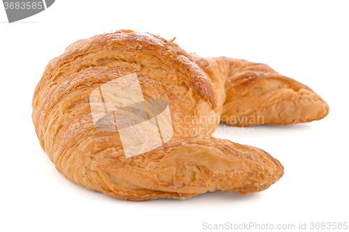 Image of Fresh croissant on white