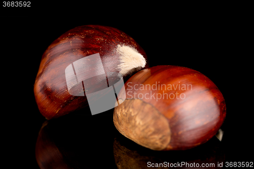 Image of Chestnuts on a black reflective background