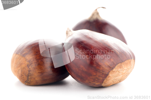 Image of Chestnuts with shell 