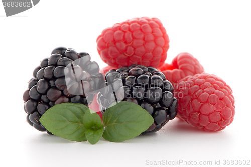 Image of Raspberry with blackberry 