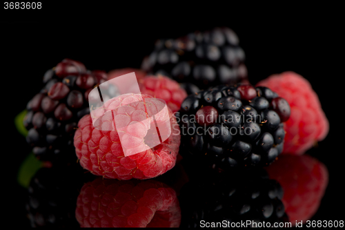 Image of Blackberry and raspberry