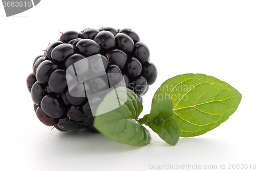 Image of Blackberries with leaves