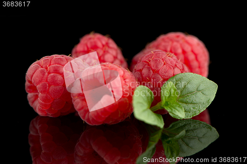 Image of Raspberries with leaves
