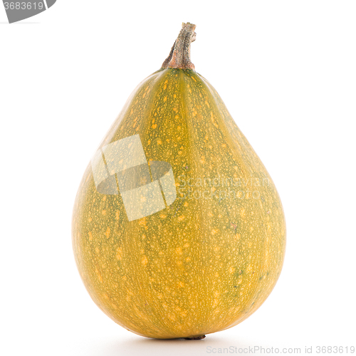 Image of Pumpkin