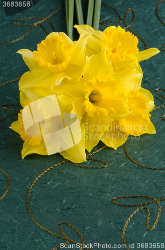 Image of Jonquil flowers