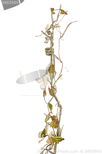 Image of Golden Christmas decoration branches