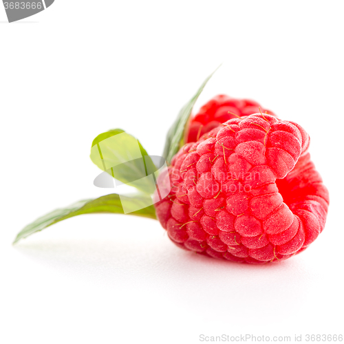 Image of Raspberries with leaves