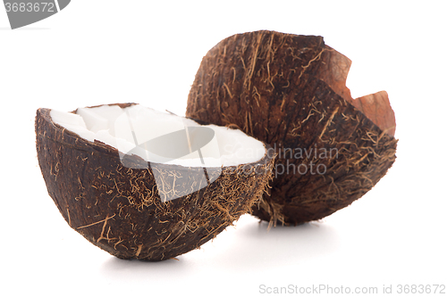 Image of Coconut