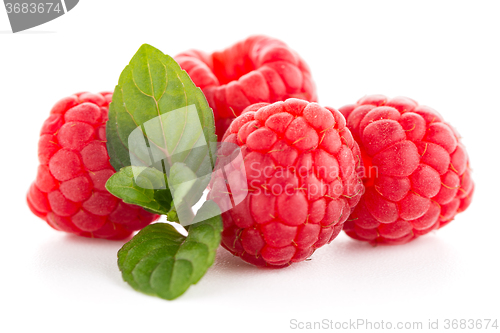 Image of Raspberries with leaves