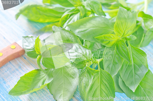 Image of basil