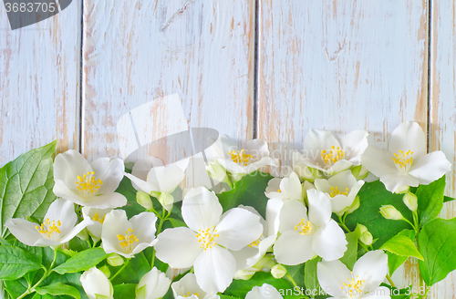 Image of jasmine spring flowers frame on white background