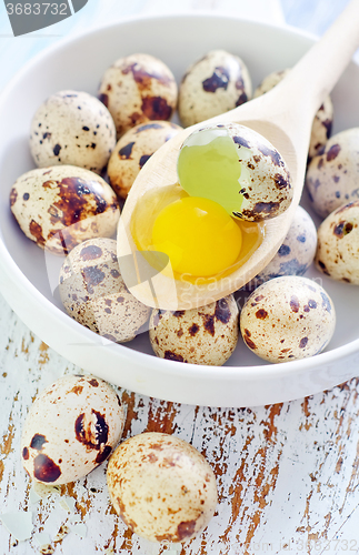 Image of quail eggs