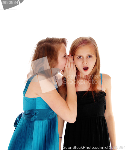 Image of Two girls sharing secrets.