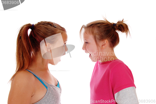 Image of Two sisters shouting at each other.