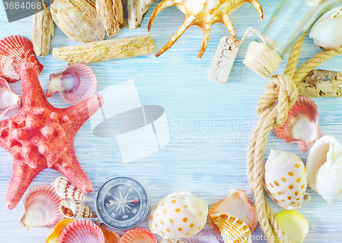 Image of sea shells and compass