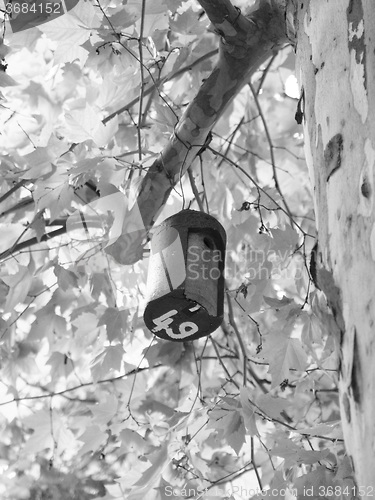 Image of Bat house