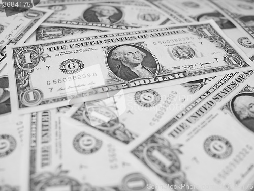 Image of Black and white Dollar notes 1 Dollar