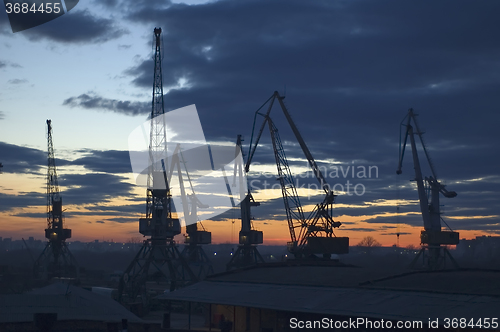 Image of Twilight river cranes