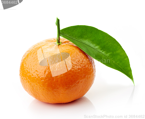 Image of fresh ripe tangerine fruit