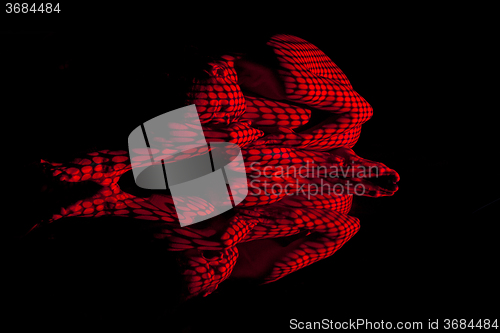 Image of The  body of woman with red pattern and its reflection