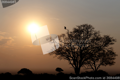 Image of African sunset