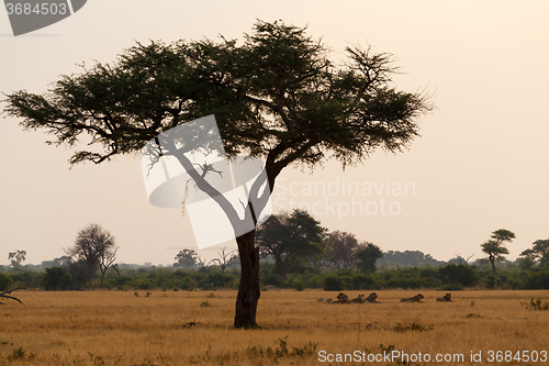 Image of African sunset