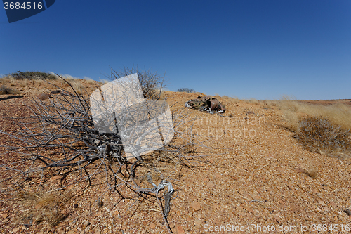 Image of fantrastic Namibia desert landscape