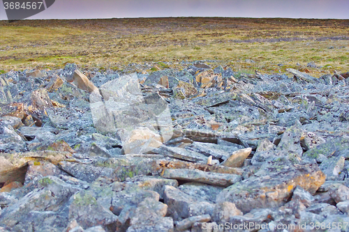 Image of Chaotic accumulation of stones that are pushed to surface by permafrost. Novaya Zemlya archipelago, Russian Arctic