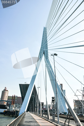 Image of Erasmus bridge in Rotterdam Netherlands Holland