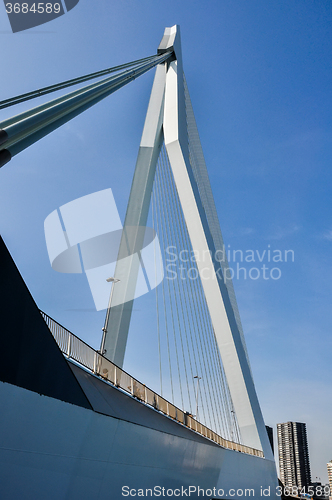 Image of Erasmus bridge in Rotterdam Netherlands Holland