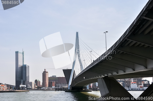 Image of Erasmus bridge in Rotterdam Netherlands Holland