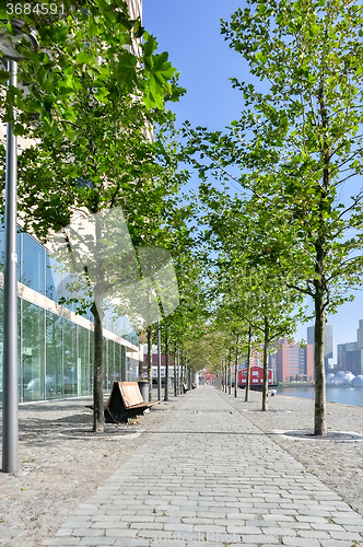 Image of paved pedestrian promenade in Rotterdam Netherlands Holland