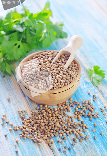 Image of coriander