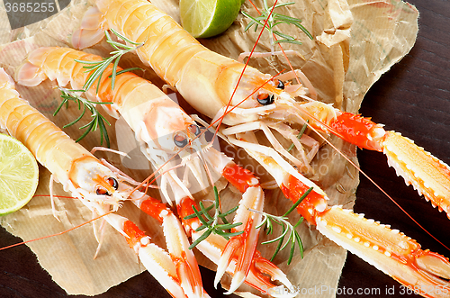 Image of Delicious Raw Langoustines