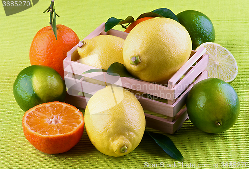 Image of Various Citrus Fruits