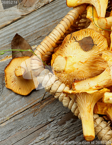 Image of Raw Chanterelles Mushrooms