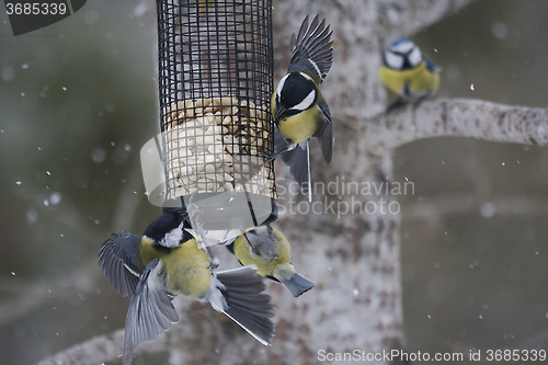 Image of food fight