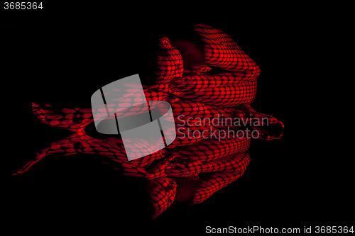 Image of The  body of woman with red pattern and its reflection