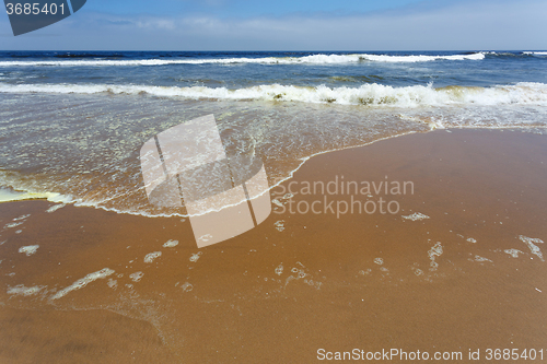 Image of Coastline in the Namib desert