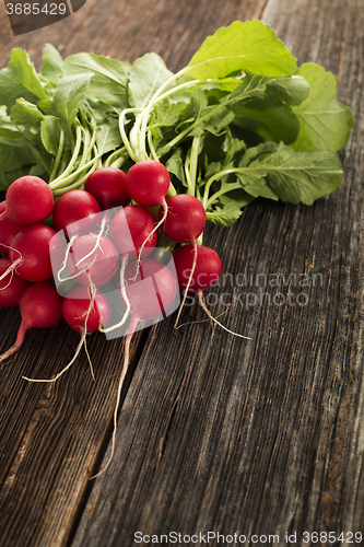 Image of Red radish