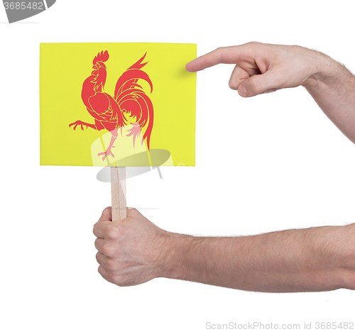 Image of Hand holding small card - Flag of Wallonia