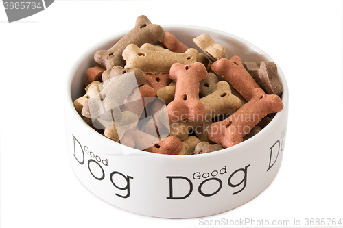 Image of Bowl of dog food