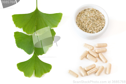 Image of Ginkgo capsules with three leaves