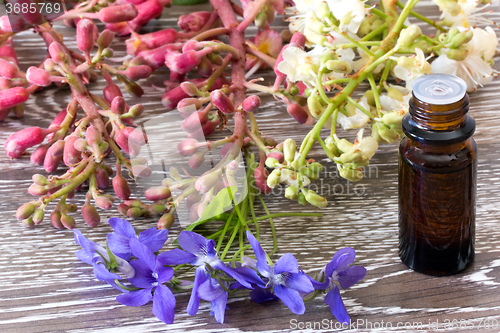 Image of Bach flowers red and white chestnut and violet