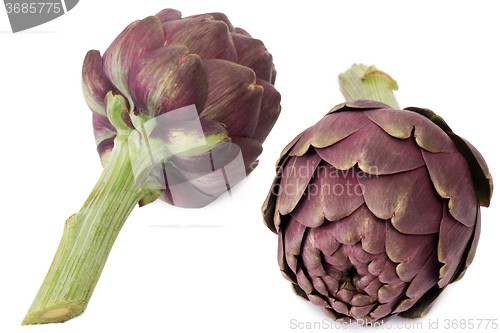 Image of Two artichokes