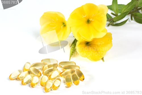 Image of Evening primroses with gelatin capsules