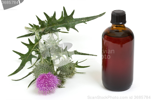 Image of Extract of milk thistle